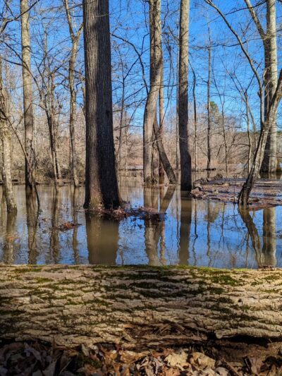 Hobbs Farm Trailhead - Carrollton, GA