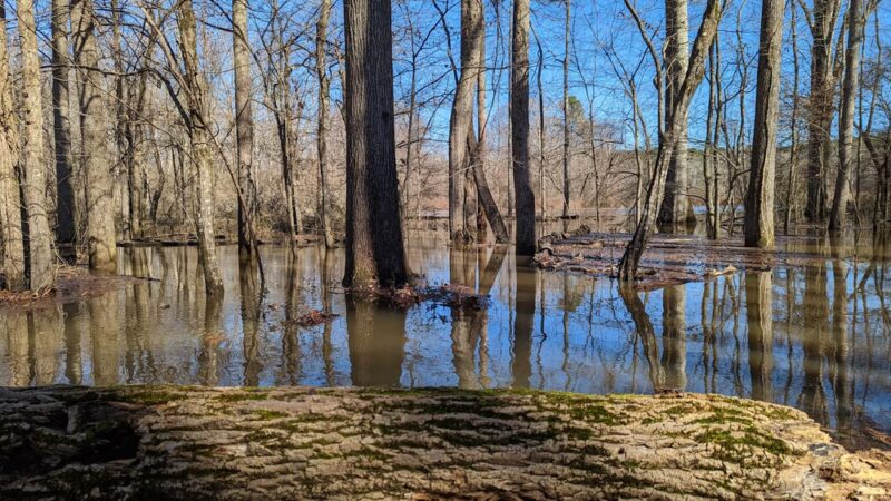 Hobbs Farm Trailhead - Carrollton, GA