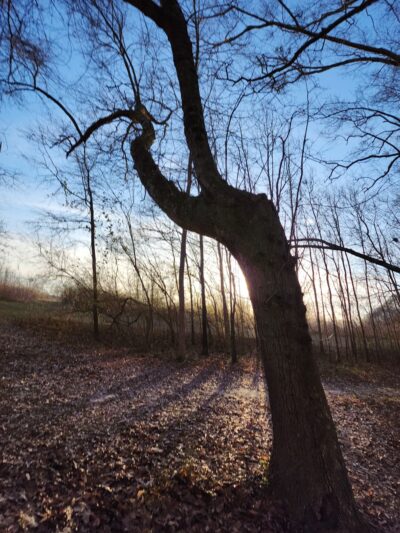 Hobbs Farm Trailhead - Carrollton, GA