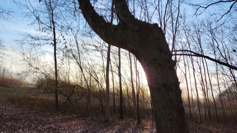 Hobbs Farm Trailhead - Carrollton, GA