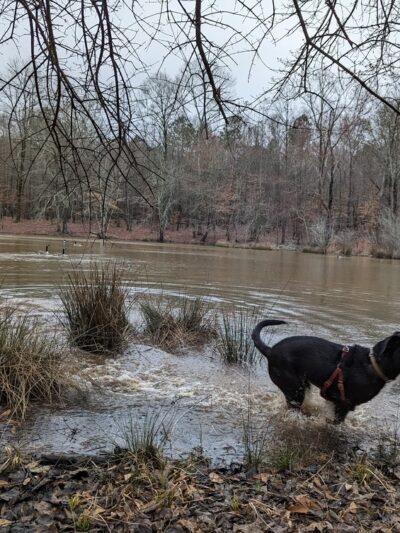 Hobbs Farm Trailhead - Carrollton, GA