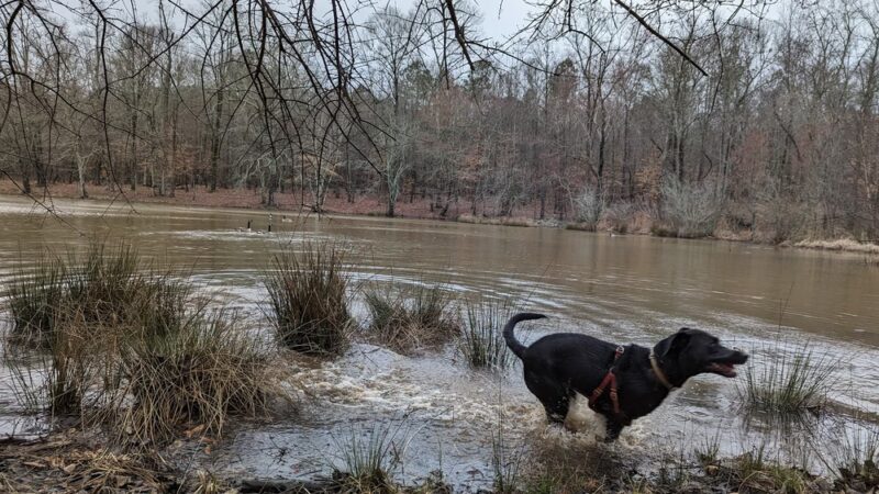 Hobbs Farm Trailhead - Carrollton, GA