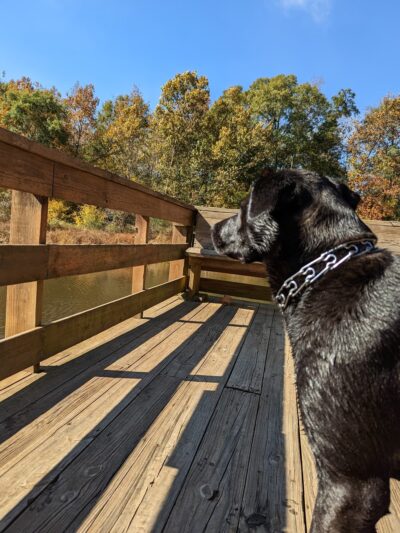 Hobbs Farm Trailhead - Carrollton, GA