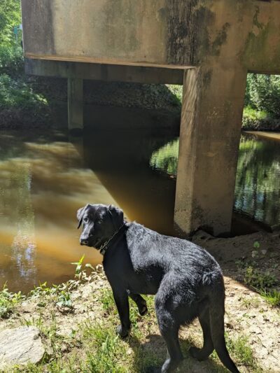 Greenbelt Trailhead - Alabama Street - Carrollton, GA