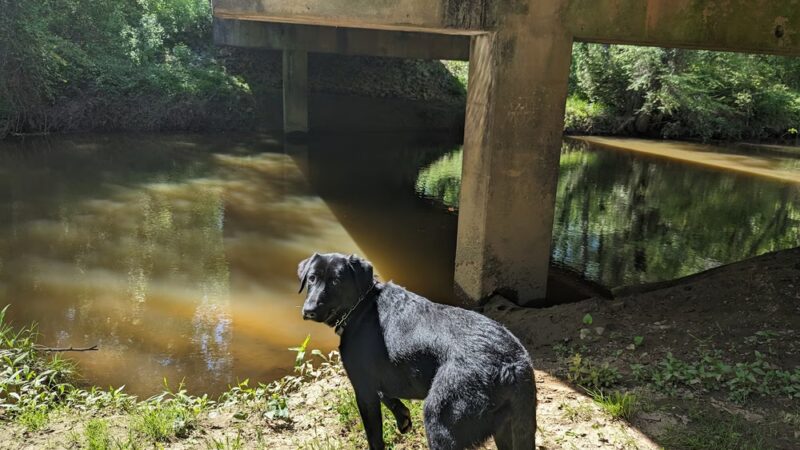 Greenbelt Trailhead - Alabama Street - Carrollton, GA