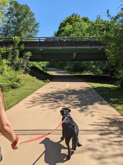 Greenbelt Trailhead - Alabama Street - Carrollton, GA