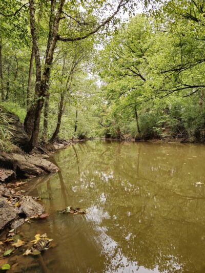Greenbelt Trailhead - Alabama Street - Carrollton, GA