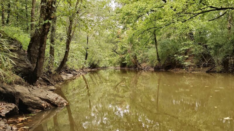 Greenbelt Trailhead - Alabama Street - Carrollton, GA