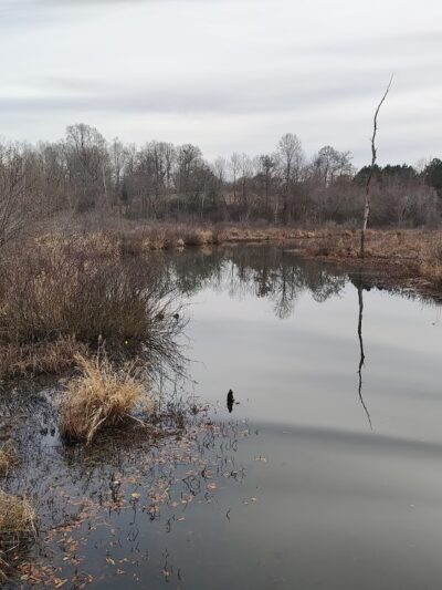 Hobbs Farm Park GreenBelt Trailhead - Carrollton, GA