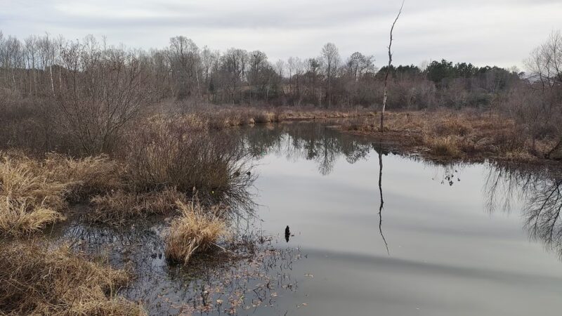 Hobbs Farm Park GreenBelt Trailhead - Carrollton, GA