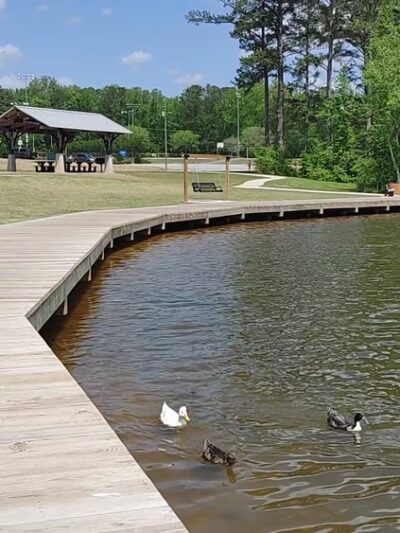 Lake Carroll Park - Carrollton, GA