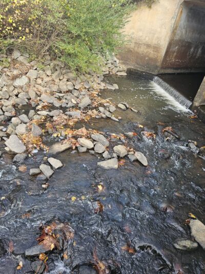 Laura’s Park at Hays Mill Trailhead - Carrollton, GA