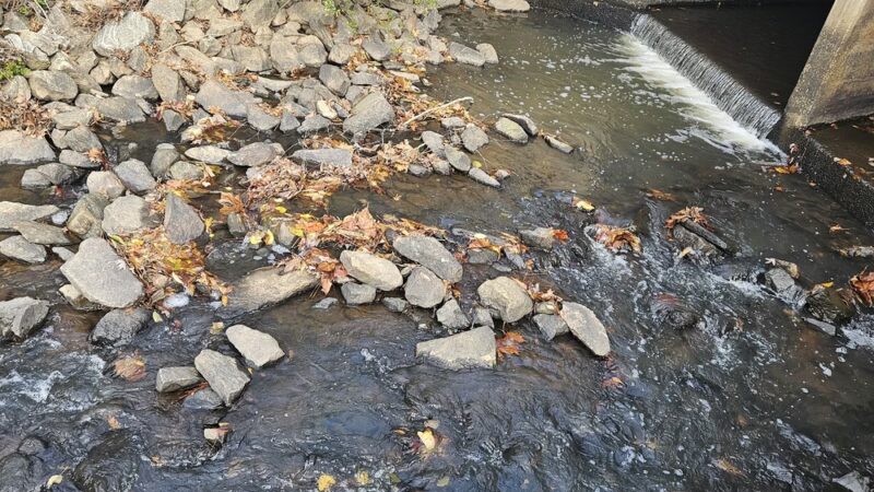 Laura’s Park at Hays Mill Trailhead - Carrollton, GA
