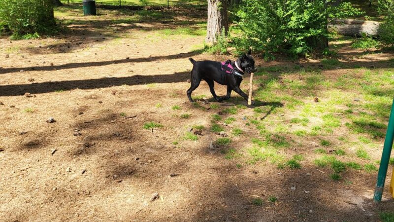 Longview Park - Carrollton, GA