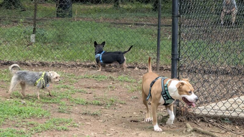 Longview Park - Carrollton, GA