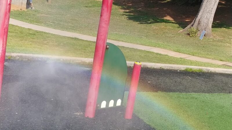 Safari Park - Carrollton, GA