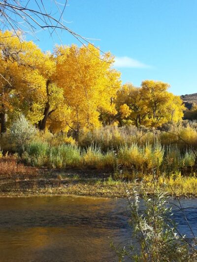 Riverview Park - Carson City, NV