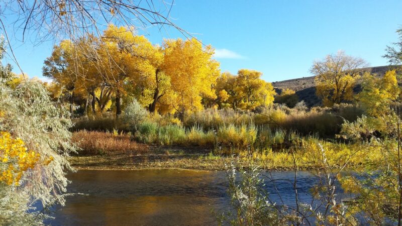 Riverview Park - Carson City, NV