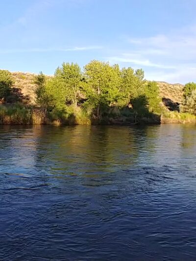 Riverview Park - Carson City, NV