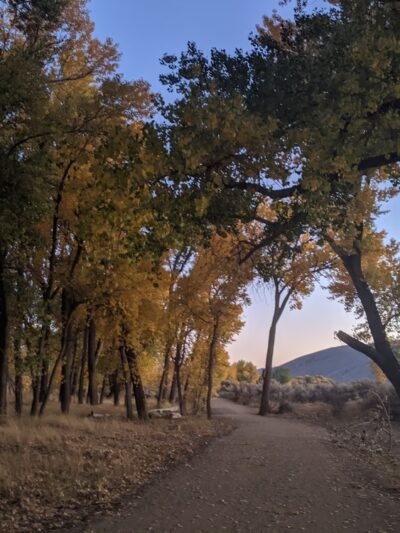 Riverview Park - Carson City, NV