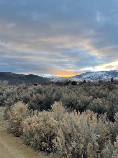Riverview Park - Carson City, NV