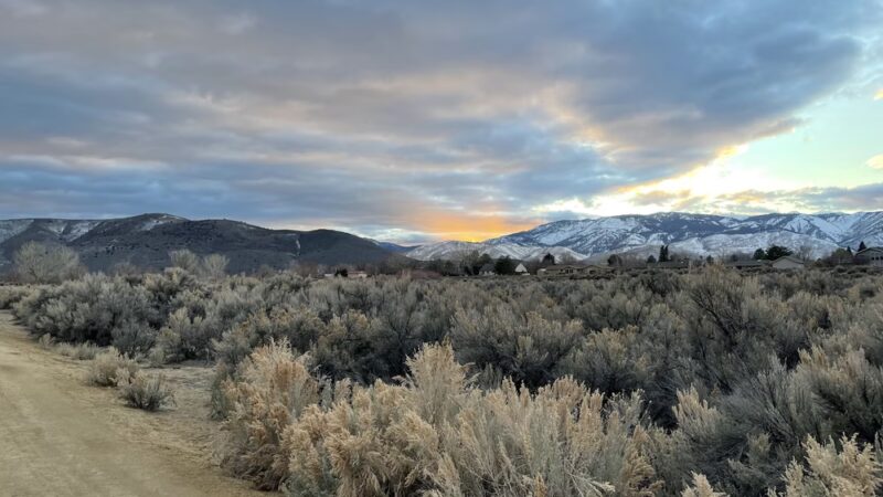 Riverview Park - Carson City, NV