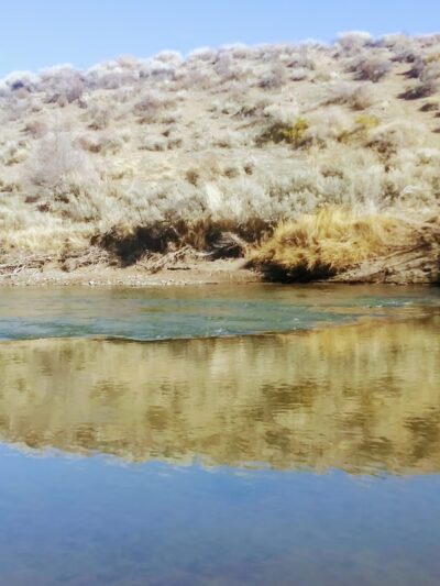 Riverview Park - Carson City, NV