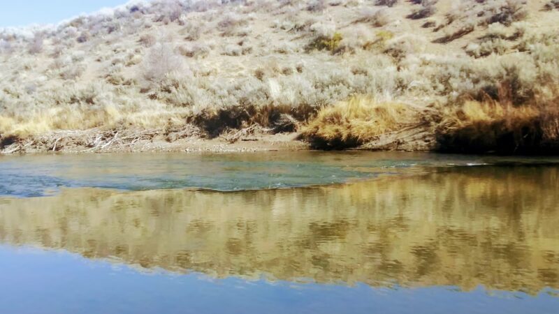 Riverview Park - Carson City, NV