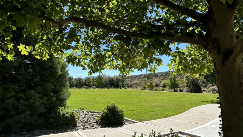 Ronald D Wilson Memorial Park - Carson City, NV