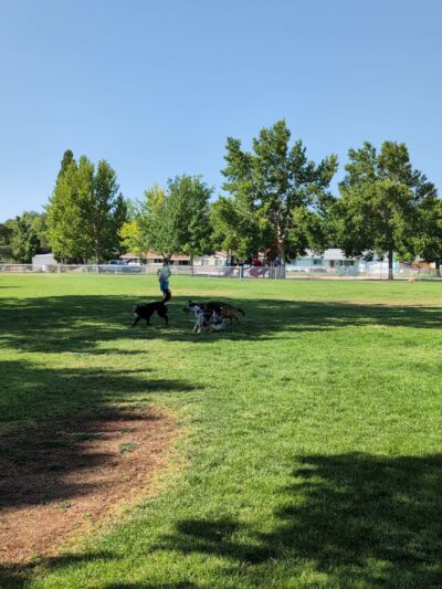 Sonoma Park - Carson City, NV