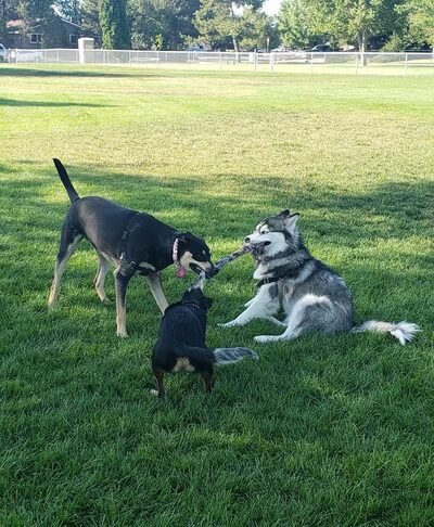 Sonoma Park - Carson City, NV