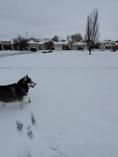 Steinheimer Park - Carson City, NV