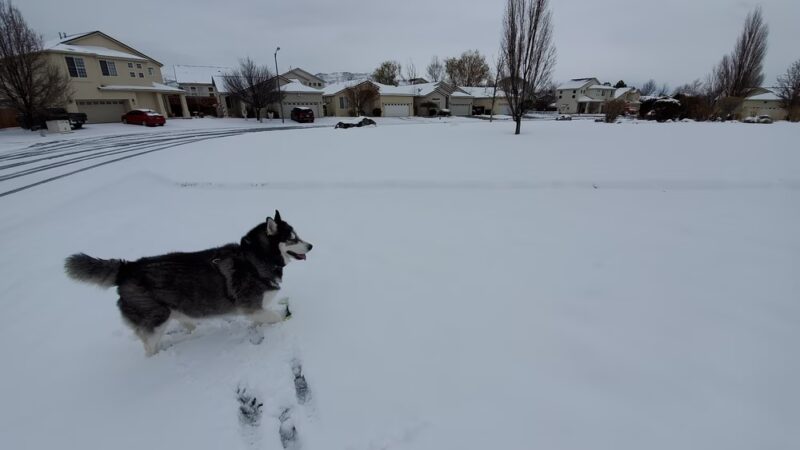 Steinheimer Park - Carson City, NV