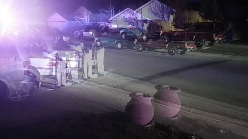 Steinheimer Park - Carson City, NV