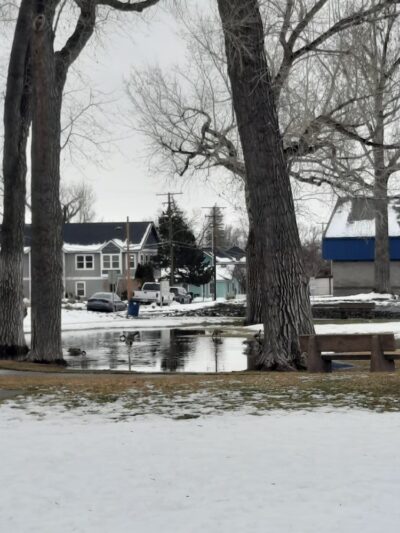 Treadway Park - Carson City, NV