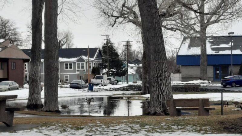 Treadway Park - Carson City, NV