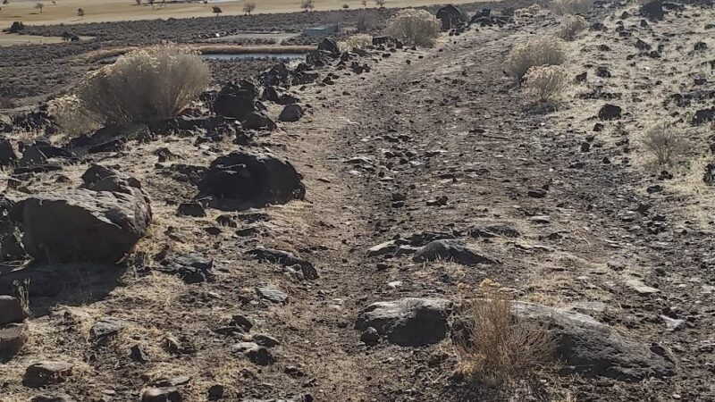 Wild Horse Trail - Carson City, NV