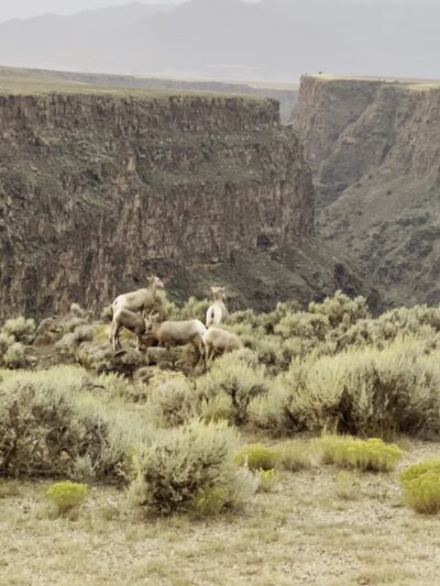 Rio Grande Gorge Rim Trail - South Trailhead - Carson, NM