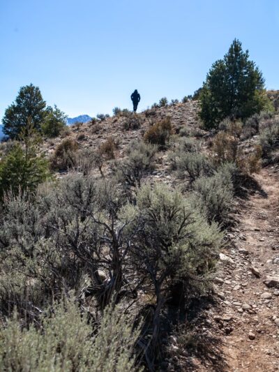 Rio Grande Gorge Rim Trail - South Trailhead - Carson, NM