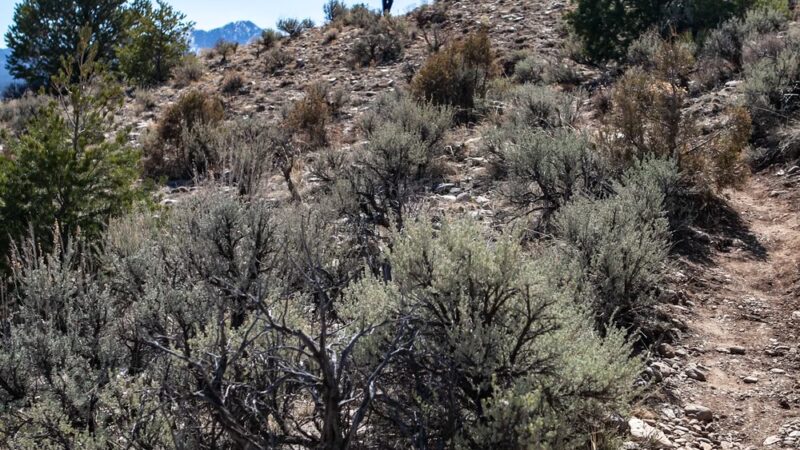 Rio Grande Gorge Rim Trail - South Trailhead - Carson, NM