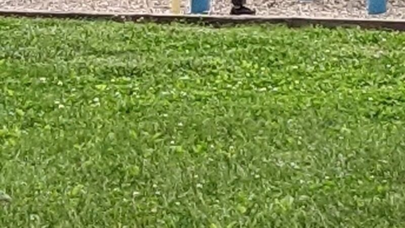 Cambria City Park - Carterville, IL