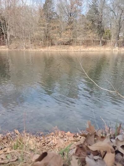 Cannon Park - Carterville, IL