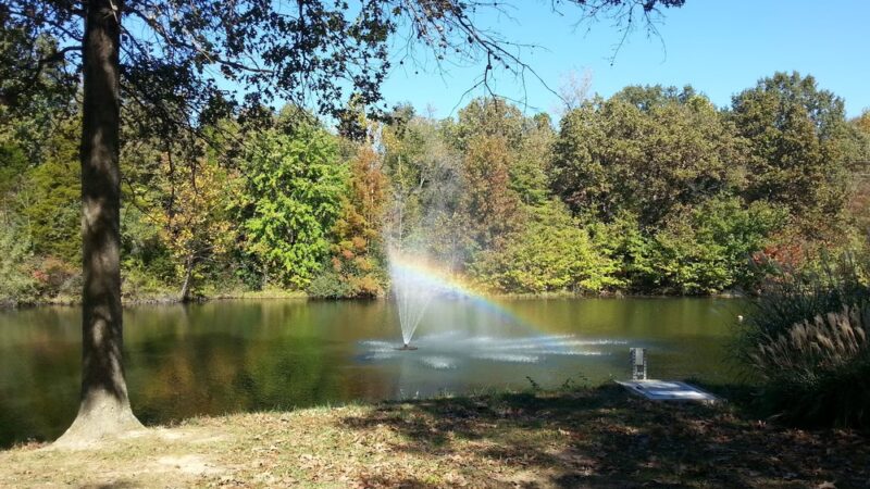 Cannon Park - Carterville, IL
