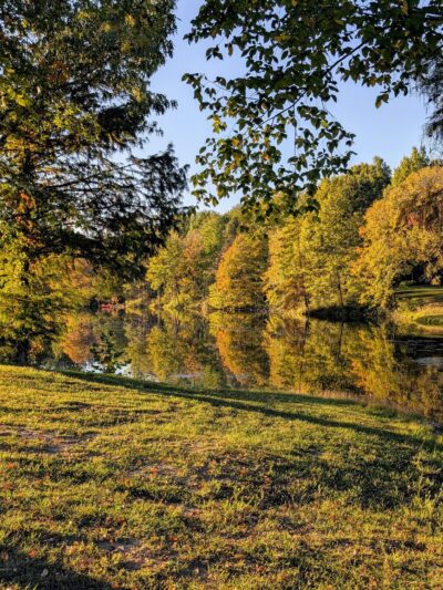 Cannon Park - Carterville, IL