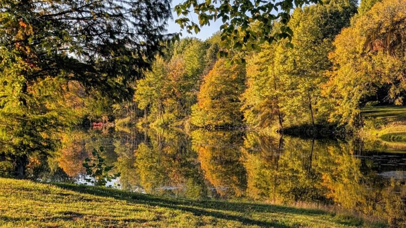 Cannon Park - Carterville, IL
