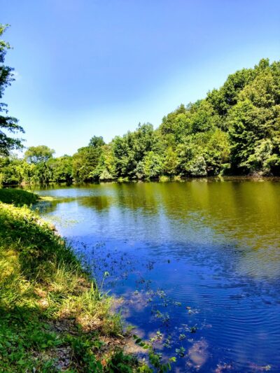 Cannon Park - Carterville, IL