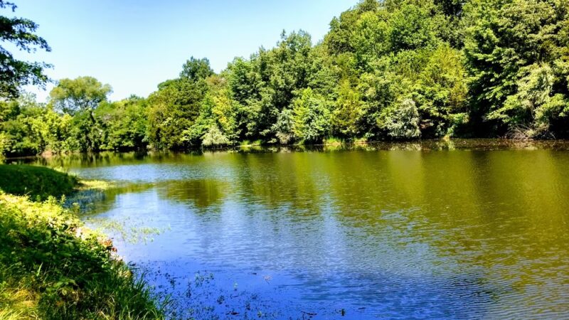 Cannon Park - Carterville, IL