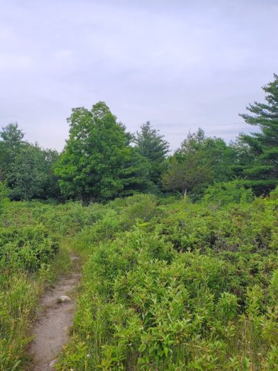Donald F. Getman Memorial Park - Carthage, NY