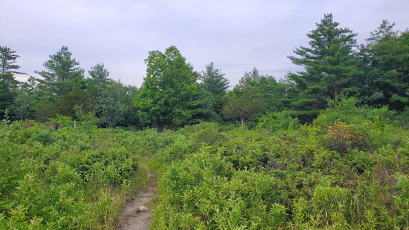 Donald F. Getman Memorial Park - Carthage, NY