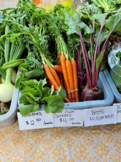 Shurtleff Park - Carver, MA